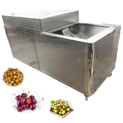 Longan Pitting Machine con funzione di rimozione del nucleo in acciaio inossidabile e potenza di 3 kW