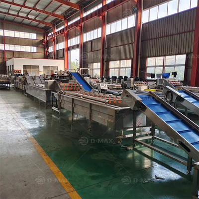 250 KG Fabbrica di alimenti Legge pulizia Taglio di verdura miscelata Insalate macchina