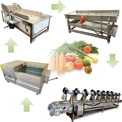 Linea di trasformazione delle verdure ad alta velocità con potenza di 3,75 kW e tecnologia di pulizia delle bolle
