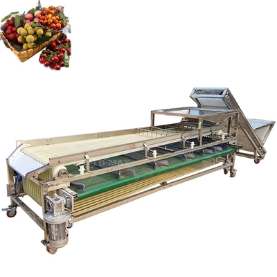 Macchine automatiche per la selezione di cipolle di aglio, ciliegie di patate, pomodori, limoni, datteri, grattacibelli di avocado