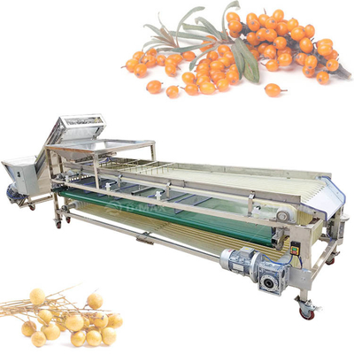 Macchine automatiche per la selezione di cipolle di aglio, ciliegie di patate, pomodori, limoni, datteri, grattacibelli di avocado