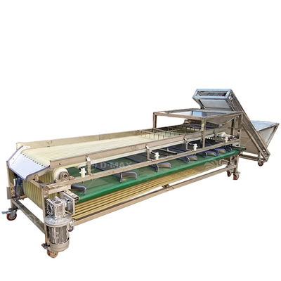 Good Performance Passion Fruit Grading Machine per i requisiti di lavorazione dei frutti