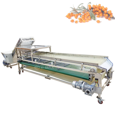 Good Performance Passion Fruit Grading Machine per i requisiti di lavorazione dei frutti