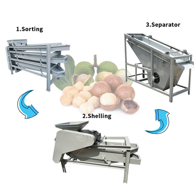 Macchina automatica per la deposizione di noccioline e di mandorle per impianti di trasformazione di noccioline