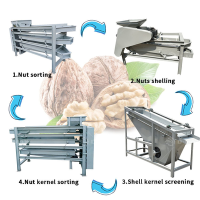 Macchina per la separazione delle conchiglie di noccioline di nocciolini di mandorle e di nocciolini di mandorle ad alta efficienza