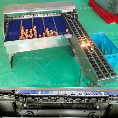 Macchina per la selezione delle uova con precisione, capacità di 5400 uova all'ora e facile utilizzo