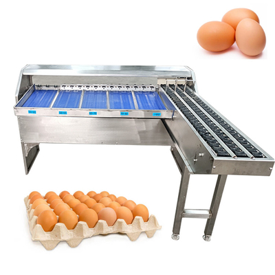 Macchina di classificazione multifunzione per la selezione delle uova di pollo