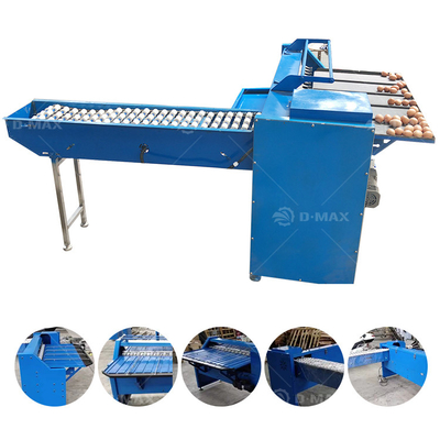 200W Alta precisione 5 Grado Uovo di pollo Grader dimensione Peso Grading Sorting Processing Machine