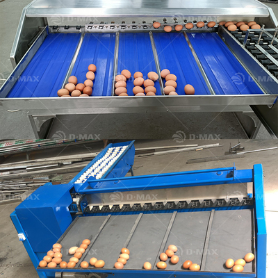 Macchina per la classificazione del peso delle uova ad alta produttività per allevamenti di polli